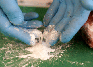 Polizei zerschlägt Kokain-Kartell – 10 Tonnen Drogen beschlagnahmt | Aktuelle Nachrichten aus Deutschland und der Welt