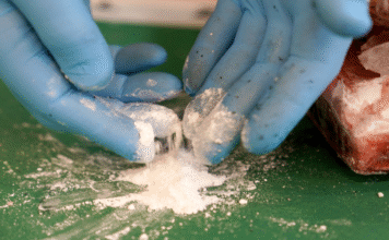 Polizei zerschlägt Kokain-Kartell – 10 Tonnen Drogen beschlagnahmt | Aktuelle Nachrichten aus Deutschland und der Welt