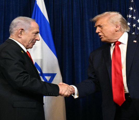 Deutschland lehnt Trumps Friedensrat ab – Nahost-Staaten sagen zu | Aktuelle Nachrichten aus Deutschland und der Welt