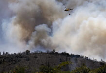 Waldbrand in Südfrankreich: 5.000 Menschen evakuiert