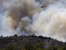 Waldbrand in Südfrankreich: 5.000 Menschen evakuiert