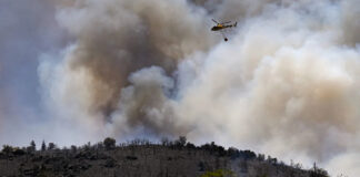 Waldbrand in Südfrankreich: 5.000 Menschen evakuiert