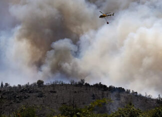 Waldbrand in Südfrankreich: 5.000 Menschen evakuiert