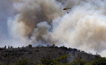 Waldbrand in Südfrankreich: 5.000 Menschen evakuiert