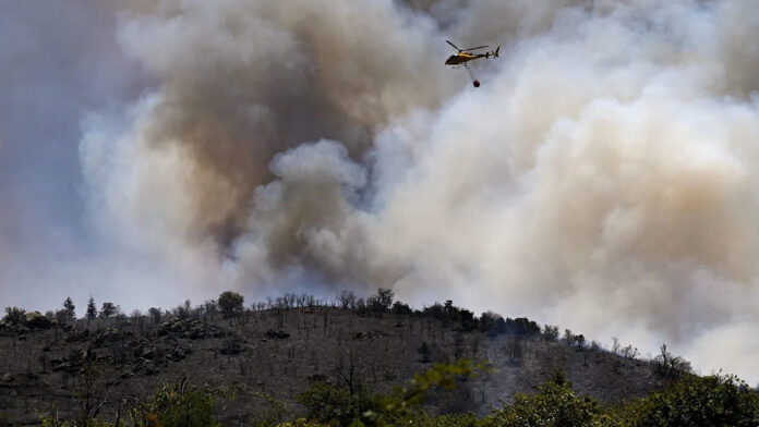 Waldbrand in Südfrankreich: 5.000 Menschen evakuiert