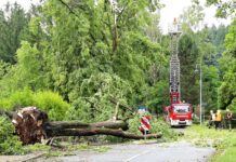 Schwere Unwetter in Rheinland-Pfalz – Schäden und Verletzte – Nachrichten aus Deutschland