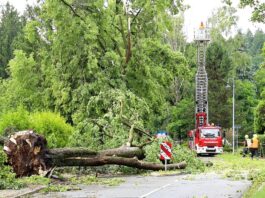 Schwere Unwetter in Rheinland-Pfalz – Schäden und Verletzte – Nachrichten aus Deutschland