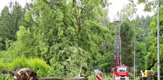 Schwere Unwetter in Rheinland-Pfalz – Schäden und Verletzte – Nachrichten aus Deutschland