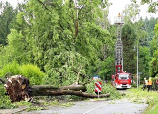 Schwere Unwetter in Rheinland-Pfalz – Schäden und Verletzte – Nachrichten aus Deutschland
