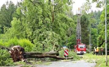 Schwere Unwetter in Rheinland-Pfalz – Schäden und Verletzte – Nachrichten aus Deutschland