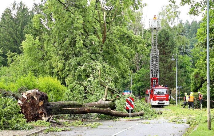 Schwere Unwetter in Rheinland-Pfalz – Schäden und Verletzte – Nachrichten aus Deutschland Schwere Unwetter in Rheinland-Pfalz – Schäden und Verletzte – Nachrichten aus Deutschland